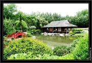Jardin Jap Mem-Lane border